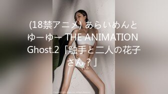 (18禁アニメ) あらいめんとゆーゆー THE ANIMATION Ghost.2「触手と二人の花子さん？」