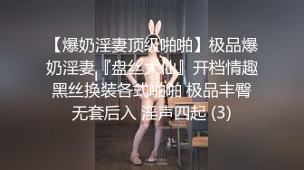 【爆奶淫妻顶级啪啪】极品爆奶淫妻『盘丝大仙』开档情趣黑丝换装各式啪啪 极品丰臀无套后入 淫声四起 (3)