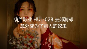 葫芦影业 HUL-028 去郊游却意外成为了别人的奴隶