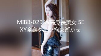 MIBB-029 W高身長美女 SEXY全身タイツ拘束逝かせ