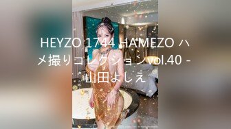 HEYZO 1744 HAMEZO ハメ撮りコレクションvol.40 - 山田よしえ